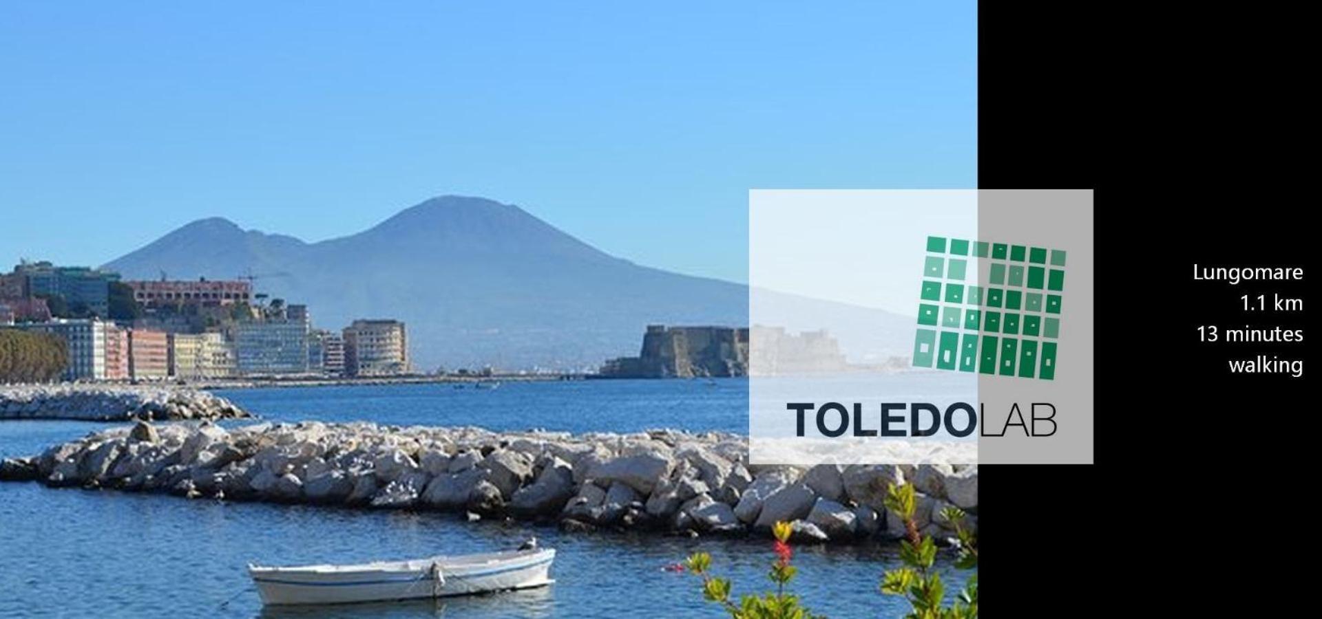 Toledo Lab