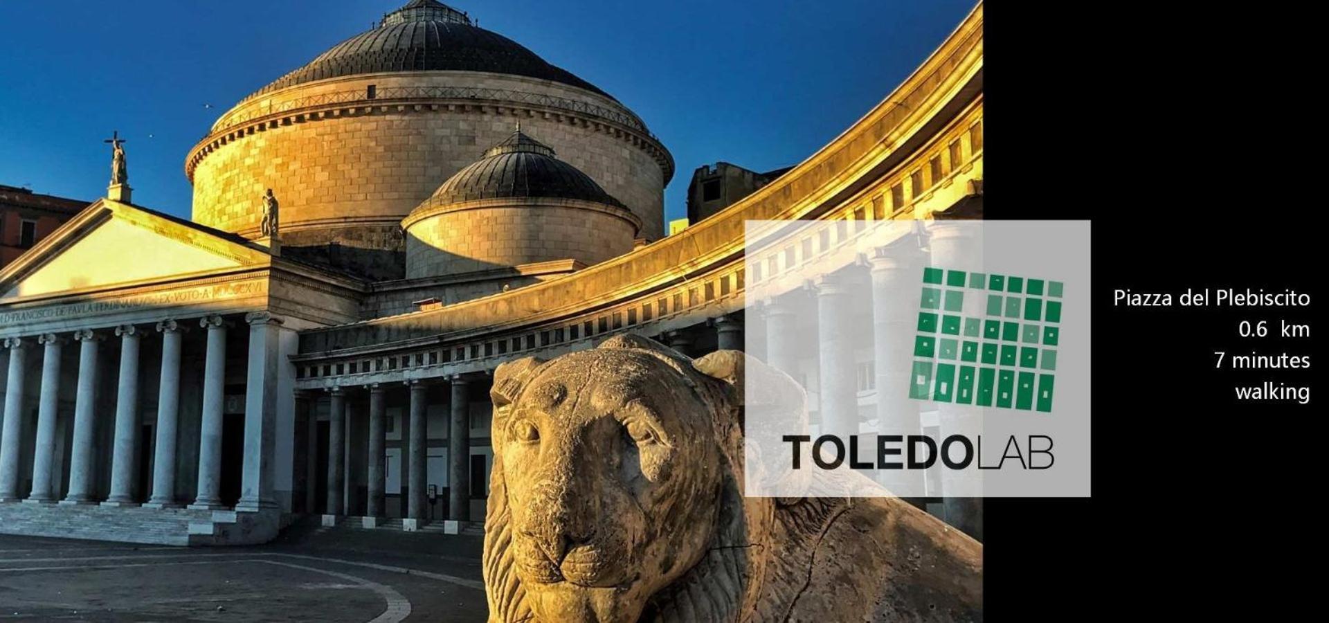 Toledo Lab Naples